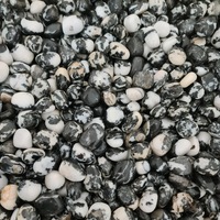 Black &amp; White Zebra Jasper Tumbled Stones - 1Kg Lots