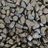 Black Tourmaline Tumbled Stones - 1Kg Lots