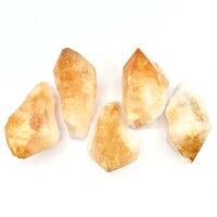 Citrine Points [Large (Type2) 5-6pcs]
