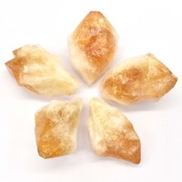 Citrine Points [Large (Type2) 5-6pcs]