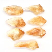 Citrine Points [Medium (Type 4) 6-9pcs]