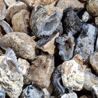 Agate Geode Singles [500grams]
