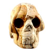 Picture Jasper Crystal Skull Carving