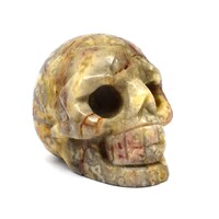 Crazy Lace Agate Crystal Skull Carving