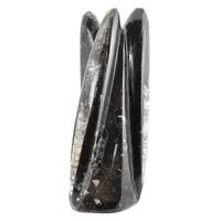 Orthoceras Fossil Statue [Medium]