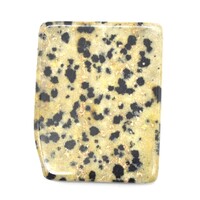 Dalmatian Jasper Polished Piece [5 pcs]