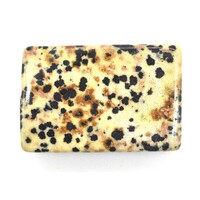 Dalmatian Jasper Polished Piece [3pcs]