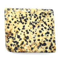 Dalmatian Jasper Polished Piece