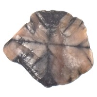 Chiastolite Polished Piece