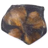 Chiastolite Polished Piece