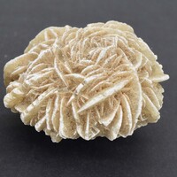 Desert Rose