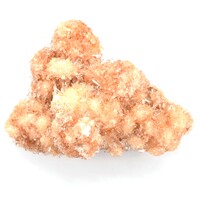 Creedite