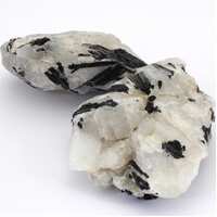 Tourmaline In Quartz [2-3 pcs]