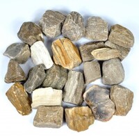 Petrified Wood Rough Stones