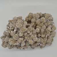 Desert Rose [Cluster Extra Large]