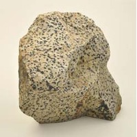 Dalmatian Jasper Rough Stones [1 pce]