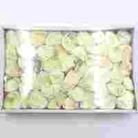 Lemon Chrysoprase Rough Stones [Tray - 47-51pcs]