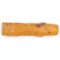 Amber [Type 2]