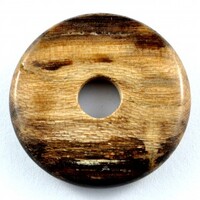 Petrified Wood Donut Pendant Carving