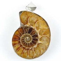 Ammonite Pendant