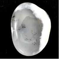 Opal Dendritic Palm Stone