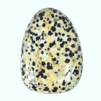 Dalmatian Jasper Palm Stone