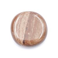 Chocolate Jasper Palm Stone