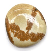 Brown Jasper Palm Stone