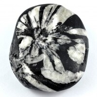 Chrysanthemum Stone Palm Stone