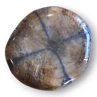 Chiastolite Palm Stone