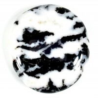 Black &amp; White Zebra Jasper Palm Stone