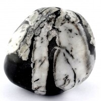 Chrysanthemum Stone Tumbled Stones [Extra Large 1pc]