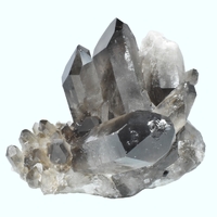 Smoky Quartz Cluster