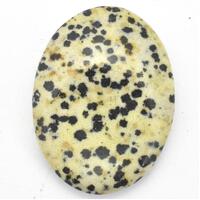 Oval Jasper Dalmatian Worry Stone