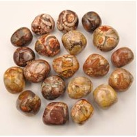 Birds Eye Jasper Tumbled Stones