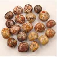 Birds Eye Jasper Tumbled Stones