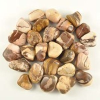 Brown Zebra Jasper Tumbled Stones [Medium]