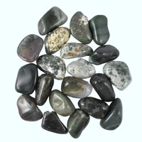 Green Moss Agate Tumbled Stones [Large]