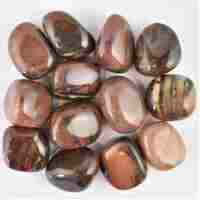 Bamboo Leaf Agate Tumbled Stones [Large]