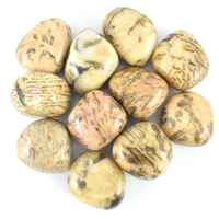 Cream Jasper Tumbled Stones [Large]