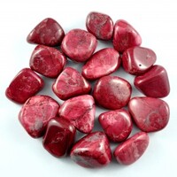 Red Howlite Tumbled Stones [Large]
