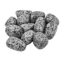Dalmatian Jasper Tumbled Stones [Large]