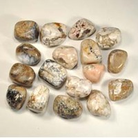 Moss Opalite Tumbled Stones [Large]