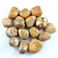 Brown Leopardskin Jasper  Tumbled Stones [Large]