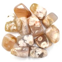 Blossoms Agate Tumbled Stones [Large]