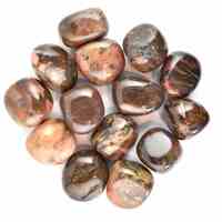 Bamboo Leaf Agate Tumbled Stones [Medium]