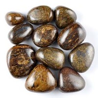 Bronzite Tumbled Stones [Medium]
