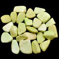 Lemon Chrysoprase Tumbled Stones [Medium (Type A)]