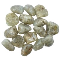 Prehnite Tumbled Stones [&#39;2&#39; Medium]