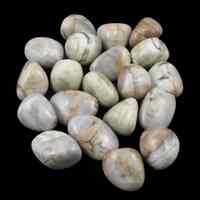 Brown Spider Web Jasper Tumbled Stones [Medium]